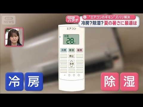 エアコンの適切な設定温度と使い方、専門家が解説 冷房と除湿の違いも話題に