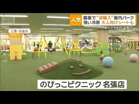 イオン、東南アジア発の巨大屋内公園を“逆輸入” 猛暑避けで歓迎と利用料への疑問