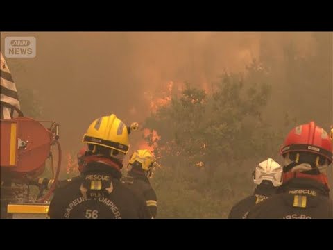 欧州の山火事、春の多雨が“燃料”に 専門家の「気候変動で頻繁に」発言に視聴者も反応