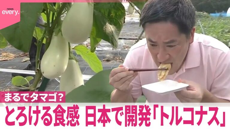 神奈川県茅ヶ崎発の新名物「トルコナス」－とろける食感が話題に