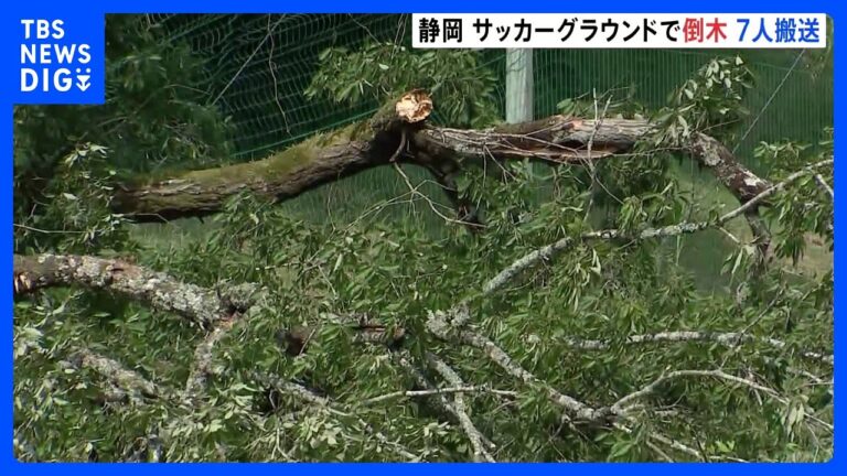 静岡・御殿場市のサッカーグラウンドで倒木事故 未就学児含む7人搬送も命に別状なし