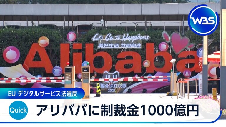 EUがアリババに5億5000万ユーロの制裁金 模倣品・有害化粧品問題で視聴者から賛否