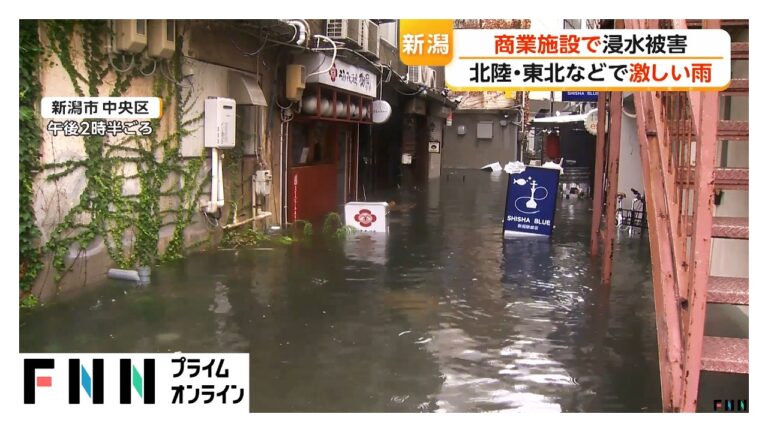 レインボーブリッジが数分で“消えた”映像に驚き 新潟の冠水被害と視聴者の注意喚起