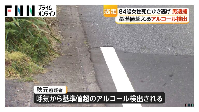 茨城・筑西市のひき逃げ死亡事件に対するYouTubeコメントの反応まとめ