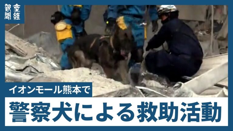 令和8年熊本地震：イオンモールでの警察犬・救助活動に寄せられた声と72時間の緊迫