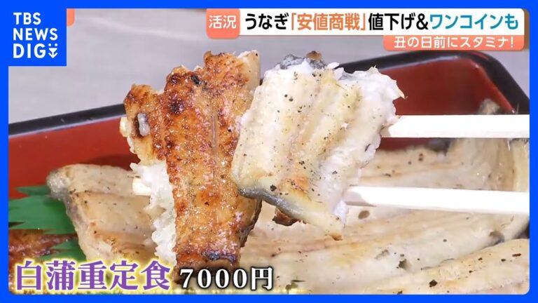 今年はうなぎが安い！夏のスタミナ食として注目集まる
