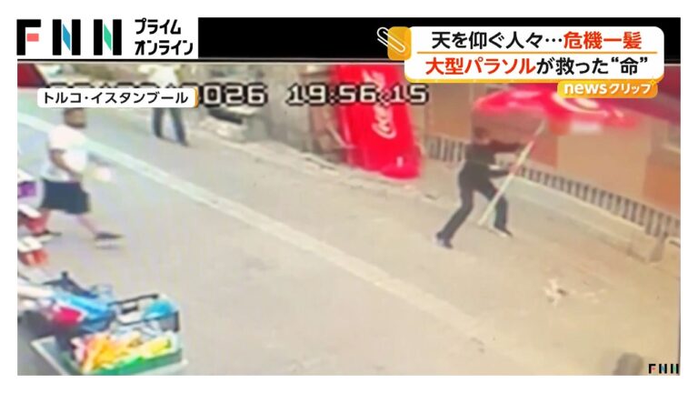 7階から飛び降りた猫を大型パラソルが救う トルコの驚きの瞬間