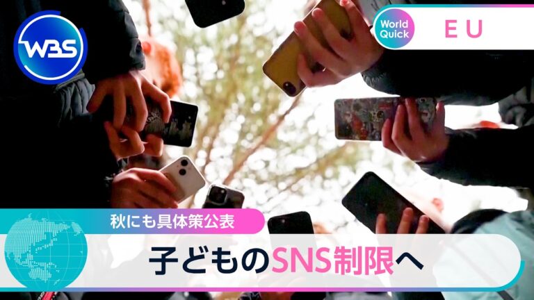 EUが子どものSNS利用制限へ 秋に具体策を公表予定