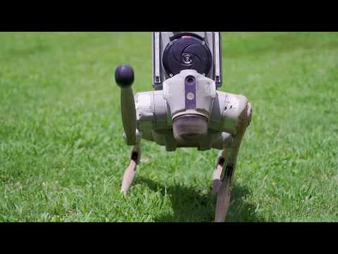 アトランタのアパート団地のロボット犬、夜間巡回で「怖い」声と治安期待が拮抗