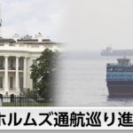 イランとオマーン、ホルムズ海峡交渉が合意間近 停航解除と通航料めぐる緊張が波紋に