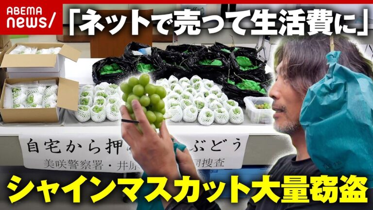 シャインマスカット大量窃盗で「日本は盗まれない」前提が崩壊、農家の不安と視聴者の疑問