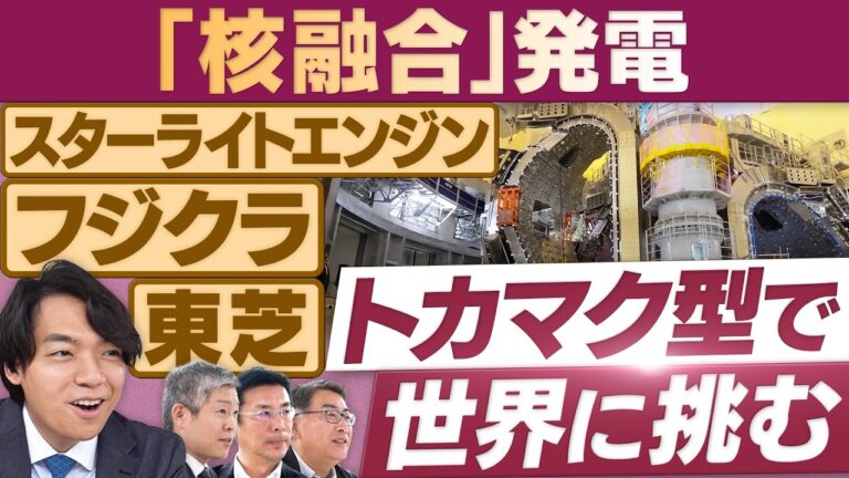 スターライトエンジンらが語る核融合発電の最前線に視聴者から疑問と期待の声